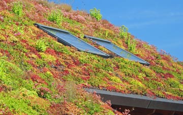 Ballylumford living roof systems