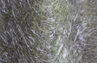 Ballylumford fibreglass roof work